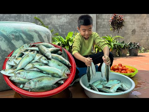 '' Jack fish recipe'' - Yummy ocean fish cooking - Chef Seyhak