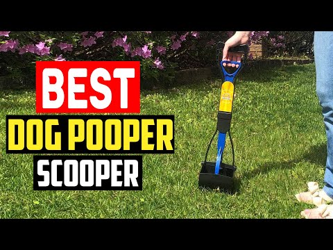 ✅ Top 5 Best Pooper Scoopers of 2023,