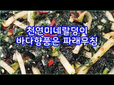 천연미네랄덩이 바다향품은 파래무침~겨울바다선물. 파래씻는법 천연영양제 미네랄풍부~식이섬유까지~(부산아지매레시피)