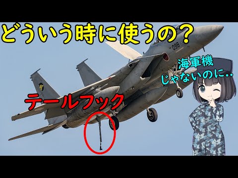 なぜ空軍の戦闘機なのに「テールフック」が付いているの？