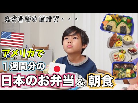 【１週間日本のお弁当】アメリカの学校に日本式のお弁当を持って行ったら【朝ご飯献立｜海外の反応】