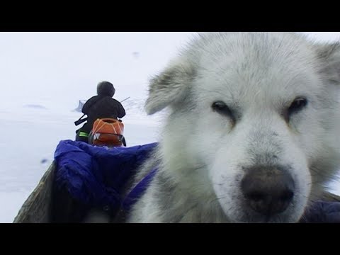 Return to Clyde River in snowmobile - Sam Ford Fiord 2010 expedition