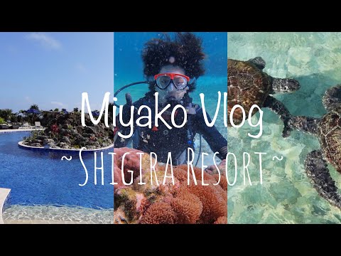 【宮古島Vlog】日本最南端Hyatt系SLH シギラリゾートを解剖🍴|シギラミラージュ・アラマンダ