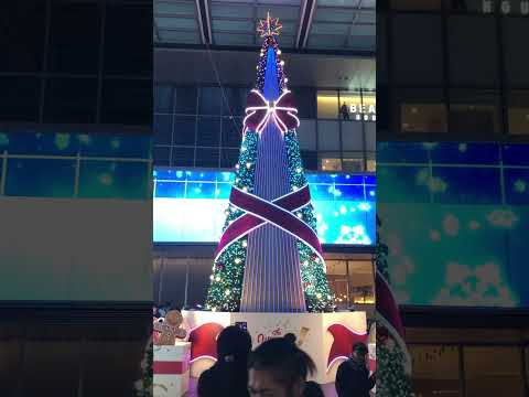 クリスマスツリー🎄名古屋駅