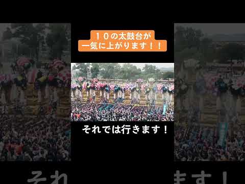 これだけの数が一気に上がると凄まじい迫力！！太鼓台１０基一斉に一気差し上げ！！ #japaneseculture #matsuri #祭 #伝統文化 #四国 #愛媛県 #新居浜市 #新居浜太鼓祭り