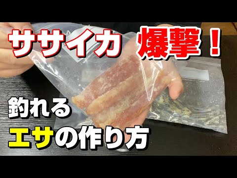 マジで釣れる！ササイカ釣りするならこのエサ使ってみて！【81釣目】