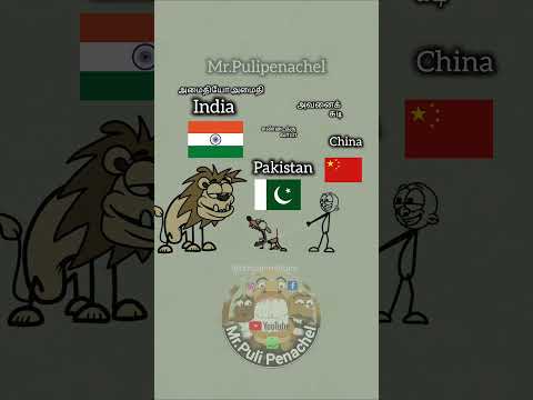 India🔥 Pakistan fight China vs Babu #animals #flag  #comedy  #trendingshorts