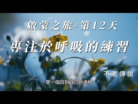 啟蒙之旅 第12天：專注於呼吸的練習