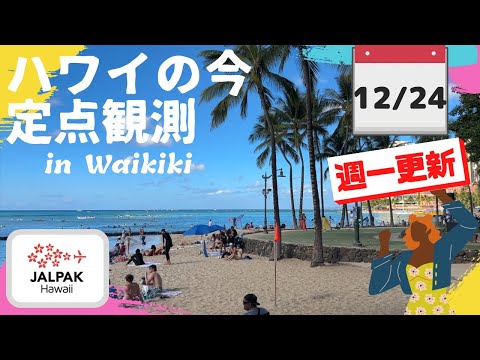 【ハワイの今】ワイキキ定点観測  2024年12月24日