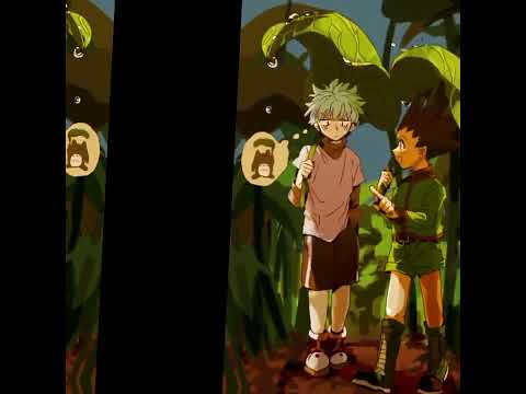 Killua x Gon (hunter x hunter)