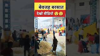 मध्य प्रदेश में बेवजह बरसात देखिए वीडियो #mp #mptak #mpnews #mpnewslive #viralvideo #viealvideo