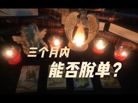 ［Giuliani塔罗］未来3个月之内能给脱单吗？遇到的桃花的特征