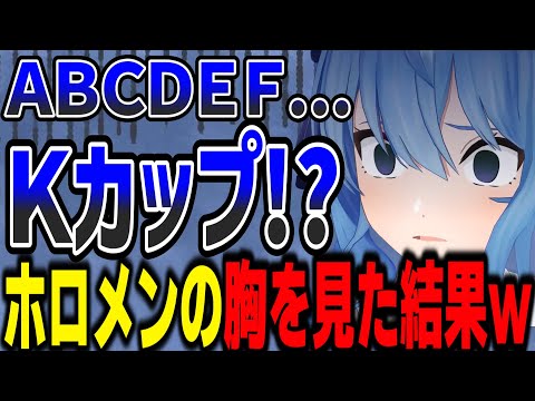 あるホロメンの胸を見て、絶望するすいちゃん【星街すいせい/ホロライブ/ホロライブ切り抜き】