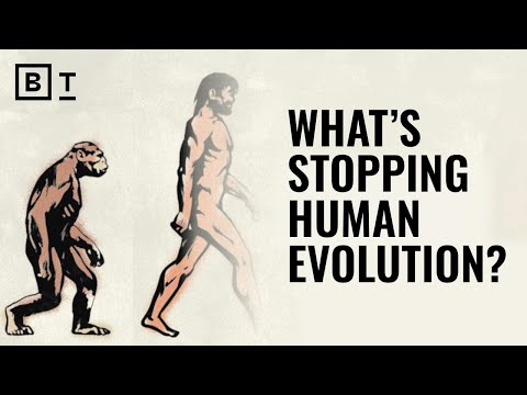 Everything about humanity is changing—except our bodies | Sean B. Carroll on evolution