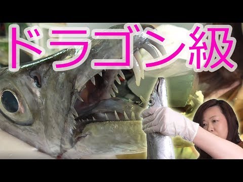 太刀魚を捌いて料理する！ Cooking with a eelfish