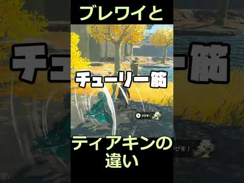 ティアキンとブレワイの違い 幻聴編 #ゼルダの伝説 #zelda #ゼルダの伝説ブレスオブワイルド #ゼルダの伝説ティアーズオブザキングダム