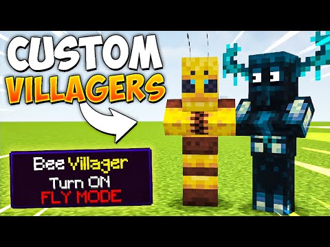 Minecraft But There are Custom Villagers...