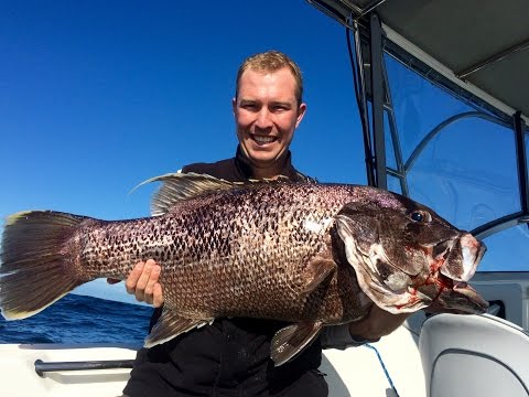 Western Australian DhuFish Compilation