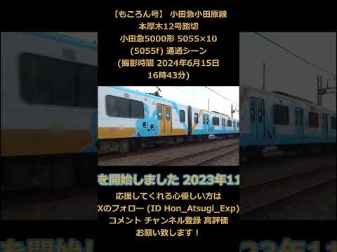 【もころん号】 小田急小田原線 本厚木12号踏切 小田急5000形 5055×10 (5055f) 通過シーン (撮影時間 2024年6月15日16時43分)