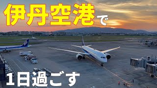 【4K】伊丹空港に24時間滞在！おすすめグルメ・スポットなどを紹介✈️🇯🇵【日本観光旅行Vlog @大阪・兵庫：大阪国際空港】