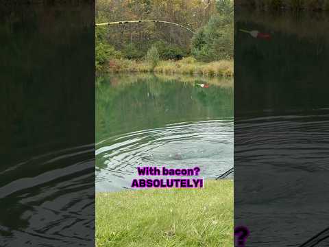 Fishing With BACON - How To Catch Catfish!! #shorts #fishing