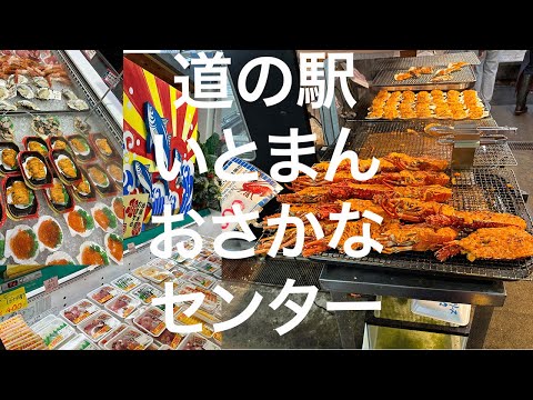 【沖縄南部】道の駅いとまん おさかなセンター 2024/1/21