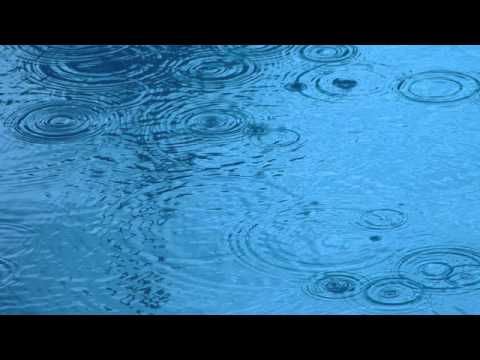 【リラックス脳波】 美しい雨の音 2時間 【ヒーリング】 Sound of Rain 2 Hours