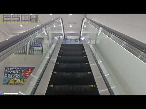 Edion Seya Store Escalator 2F-3F Toshiba