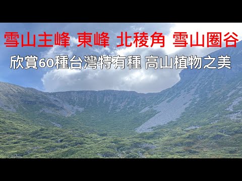 雪山 北稜角 雪山圈谷 冰河地形 發現60種台灣特有種 高山植物之美 Mt.Sylvia ｜ Endemic species｜Alpine plants ｜ Glacial Cirque 百岳 夾腳拖