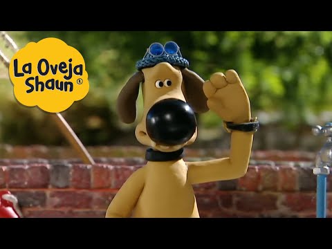 La Oveja Shaun 🐑 ¡Perro salvavidas! 🐑 Dibujos animados para niños