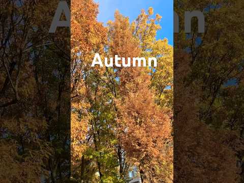 Autumn’s foliage in #japan #tokyo #autumn #foliage #shorts