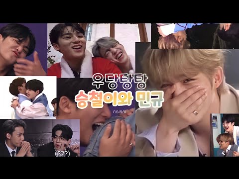 [세븐틴/에스쿱스/민규] 우당탕탕 환장의
케미 | 맨날 싸워도 붙어있어요