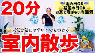 【20分室内散歩】天気に左右されない!! お家でお散歩有酸素で脂肪燃焼!! 生理中や産後にもOK👌