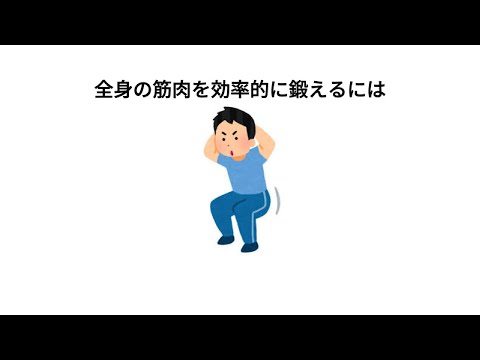 【雑学】1割の人しか知らない筋トレの雑学