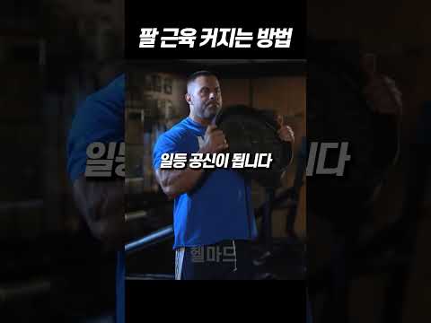 팔 근육과 팔뚝을 한번에 키우는 운동 방법 ㄷㄷ