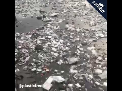 Plastica nel porto di Kingston in Giamaica