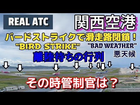 【関西空港】バードストライク！その時管制官は…【航空無線】