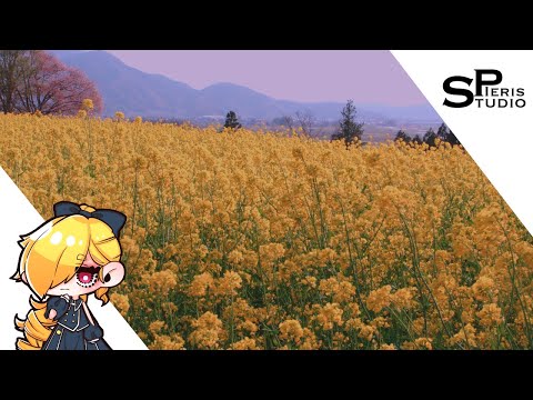 飯山菜の花まつり -2023-  NINJA V Plus