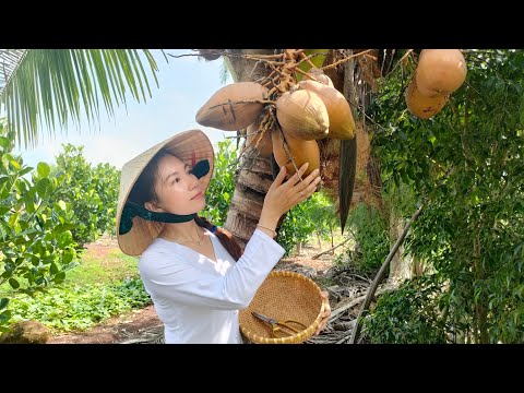 Woman gardening: plants coconuts for a successful harvest - Family farm life & Organic village life