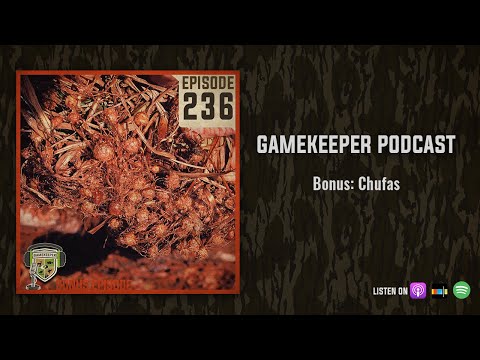 EP:236 | Bonus: Chufas