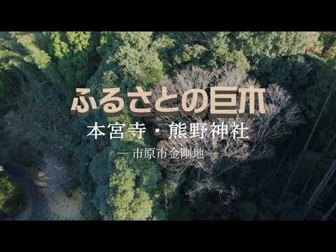 【千葉県市原市】空から見た巨木の映像「ふるさとの巨木」～本宮寺・熊野神社～