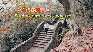 Taipei red maple leaves viewing spot, taipei travel guide