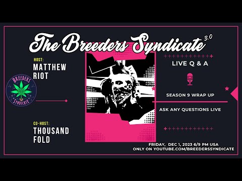 Breeders Syndicate 3.0 Season 9 Wrap Up LIVE Q & A Cookies Sherb Zkittlez Gelato BRING ALL Qs