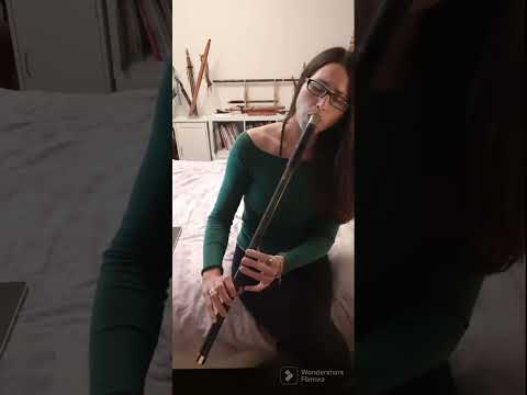 Evening Copper Flute improvisation - Backing track by @EricRaum