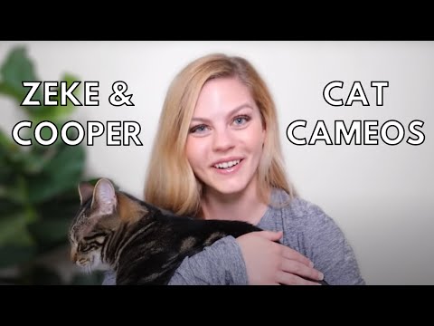 CAT CAMEO COMPILATION | The many sightings of Cooper & Zeke