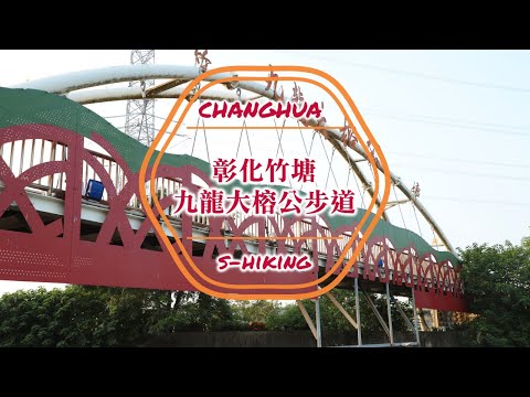 微解封-S步道｜彰化｜九龍大榕公步道｜全台最大一樹成林｜竹塘鄉