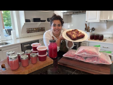 Preserving a Years Worth of Raspberries Six Ways!