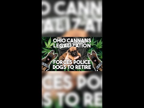 How Ohio’s Cannabis Program has Retired Police Dogs