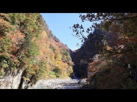 20211104  黒部峡谷・欅平