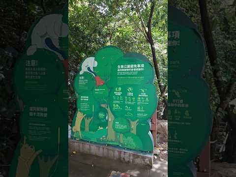 台北 富陽自然生態公園 福州山公園景觀平台 清楚看到台北101